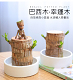 【懶人必備】巴西木水培植物，種一顆專屬於你的小樹人，簡單好養，凈化空氣，防輻射