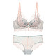 (Underwear + panties)