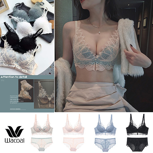 (Underwear + panties)