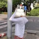 2023🌞夏の必需品！50倍日焼け止め！男女兼用の薄手の日焼け止めパーカー、取り外し可能なツバで！