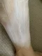 【水之蔻脫毛膏】輕鬆無痛脫毛不傷膚，脫出光滑美肌，不留黑點，抑制再生！