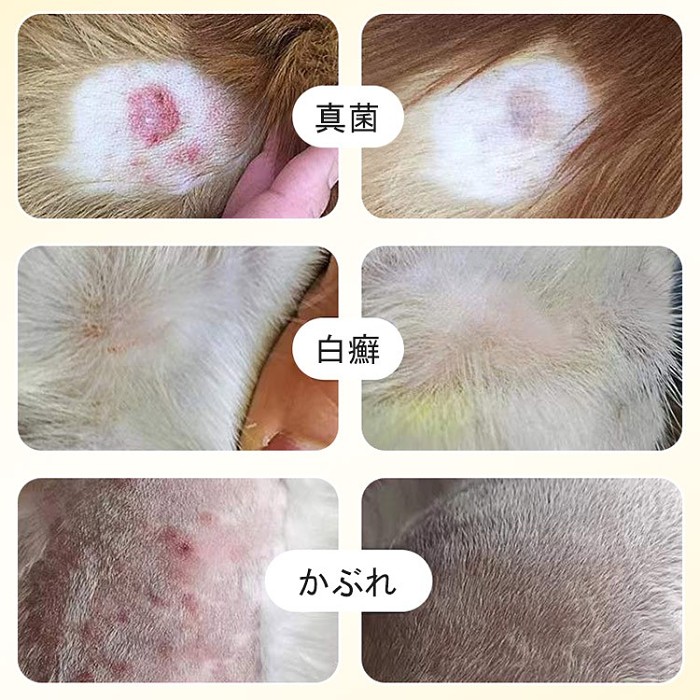 🐶ペットスキンクリーム🥰洗浄・消毒・傷のケアが1本で！