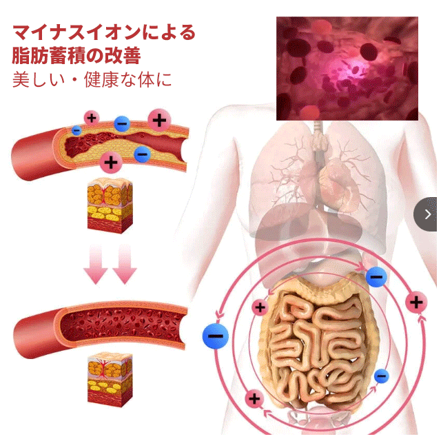 🍒日本飲食專家也大贊！ 能量芯片燃脂内褲