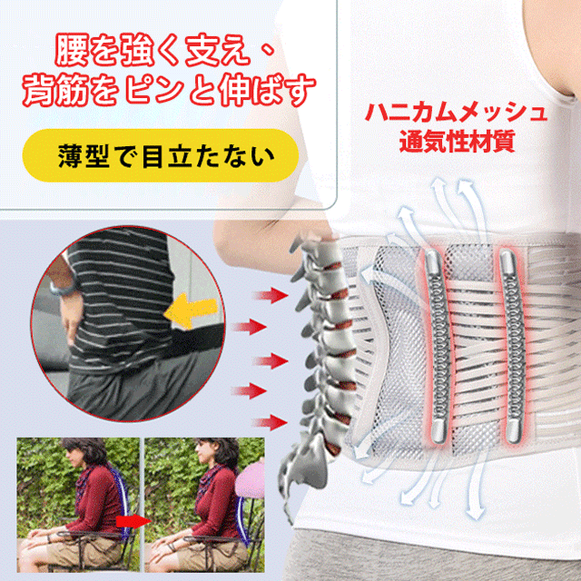 専門の整形外科医が推奨の超通気腰痛ベルト✅鋼板サポート、ストラップ補強