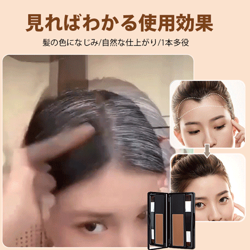 【日本で一番売れている】生え際シェーディングパウダー コンシーラー 生え際補修 ナチュラルフィリング 防汗防水 ナチュラルマット