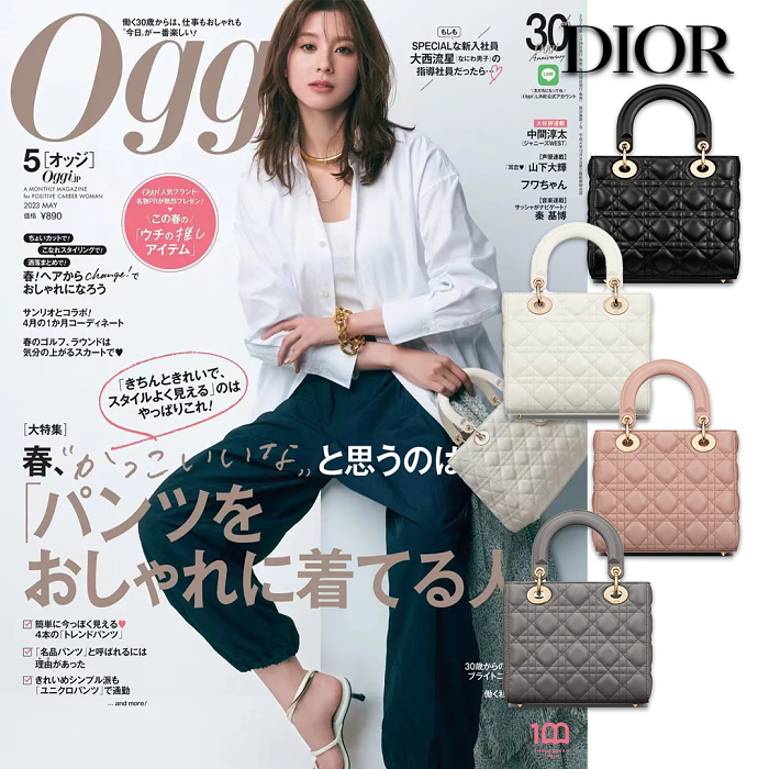 【日本明星同款】LADY DIOR四格小號手包 綾瀬はるか、新木優子さん、中村アンさん等人的喜愛！