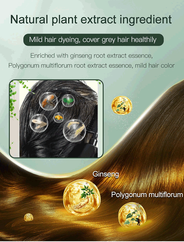 XUSHENG Black Fruit Dyeing Cream