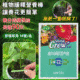【讓養花更簡單】植物營養棒！ 專為懶人和新手訂做的養花秘訣，土裡插一根能用60天！