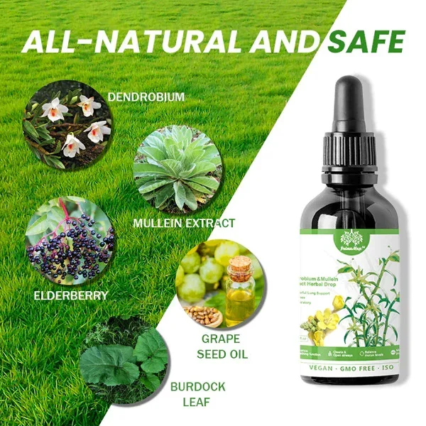 BREATHE-RIGHT DENDROBIUM & MULLEIN EXTRACT: POWERFUL LUNG SUPPORT CLEANSE & RESPIRATORY