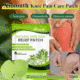 Ximonth Knee Pain Relief Patch