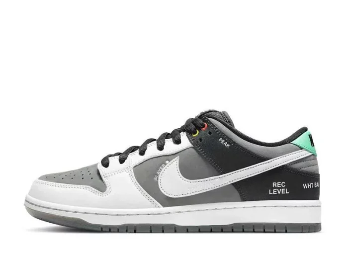 NIKE SB DUNK LOW PRO  VX1000 CAMCORDER
