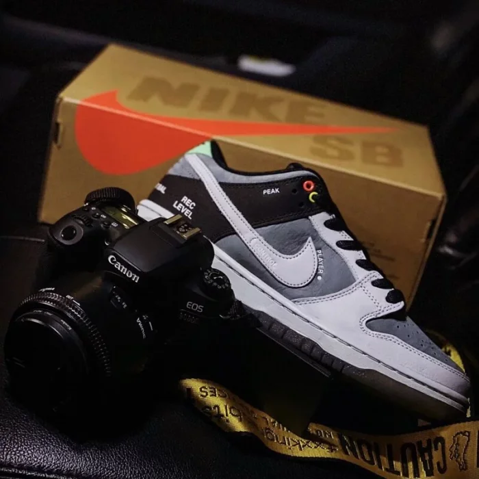 NIKE SB DUNK LOW PRO  VX1000 CAMCORDER