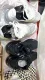Nike Air Max 270 series Multiple options to choose from