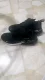 Nike Air Max 270 series Multiple options to choose from
