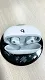 🔥 Beats Studio Buds True Wireless Noise Canceling Headphones