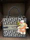 🔥限定30個！【Dior】BOOK TOTE BAG 新木優子同項 雑誌掲載★ディオール ブックトート スモール バッグ 3色