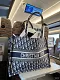 🔥限定30個！【Dior】BOOK TOTE BAG 新木優子同項 雑誌掲載★ディオール ブックトート スモール バッグ 3色