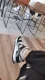 Nike Dunk black gray orange non-slip shock-absorbing low-cut sneakers for men and women