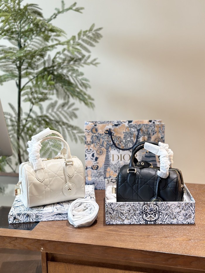 【2024新作】Dior Groove 20 バッグ スモール
