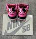 【🔥期間限定特別コラボ価格登場！】The Powerpuff Girls x Nike SB Dunk Lowパワーパフ ガールズの共同ブランドモデル