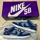 Nike Dunk SB Low x Why So Sad ？