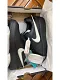 AMBUSH × Nike Air Force 1 Low