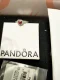 【Pandora | 官網正品】鮮明紅心戒指|鮮明之心戒指 向世間展現你對愛的信念