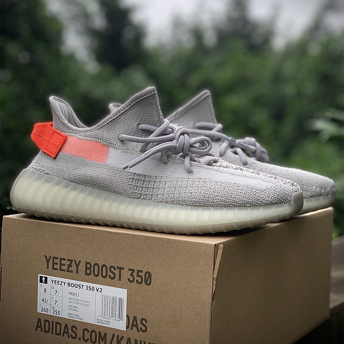 Adidas Yeezy Boost 350 v2