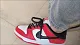 Nike SB Dunk Low Pro   Chicago