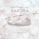 Nike Dunk Low  Pink Paisley