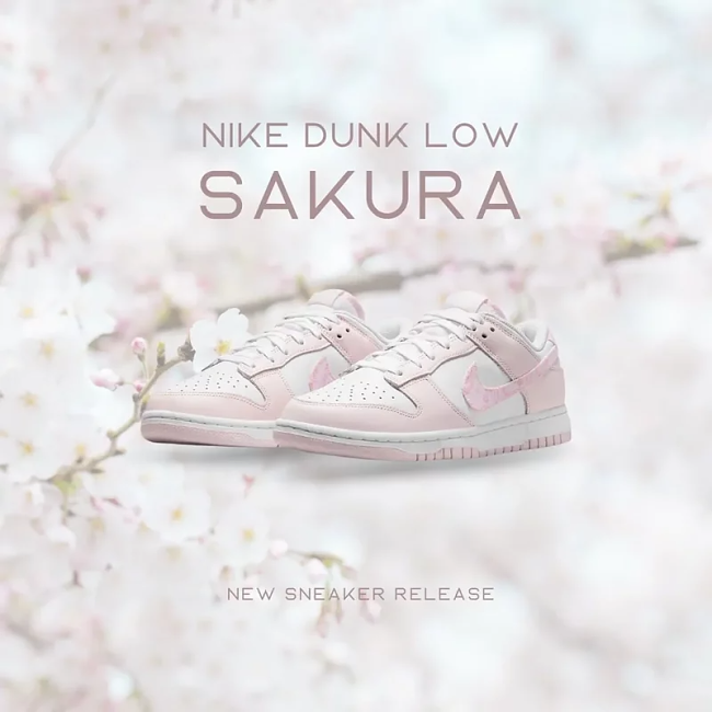 Nike Dunk Low Pink Paisley
