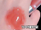 104蜜紅梨