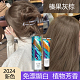【2024爆款顯白髮色】榛果灰棕免漂染膏
