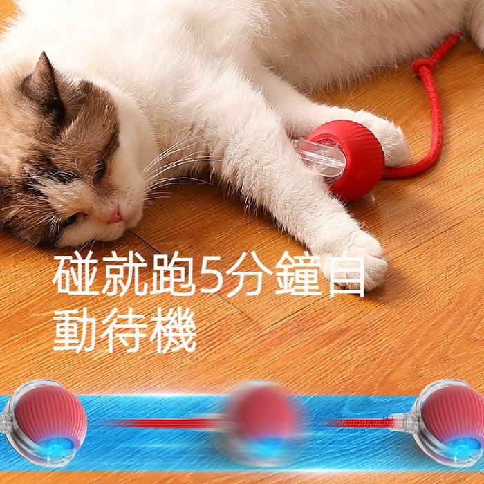 智能滾滾球解悶電動貓玩具球貓咪狗狗自嗨神器帶繩球寵物用品
