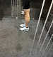 Nike Vaporfly 4 Men's Road Racing Shoes