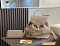 LOUIS VUITTON 19