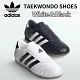 Adidas Taekwondo Shoes
