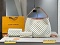 LOUIS VUITTON 19
