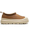 Chestnut Whitecap