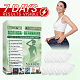 Moringa · Berberine + NAD+ 10-in-1 Nano Microneedle Patch