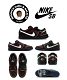 Bronx Girls Skate x Nike SB Dunk Low