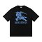 Burberry Blue Knight