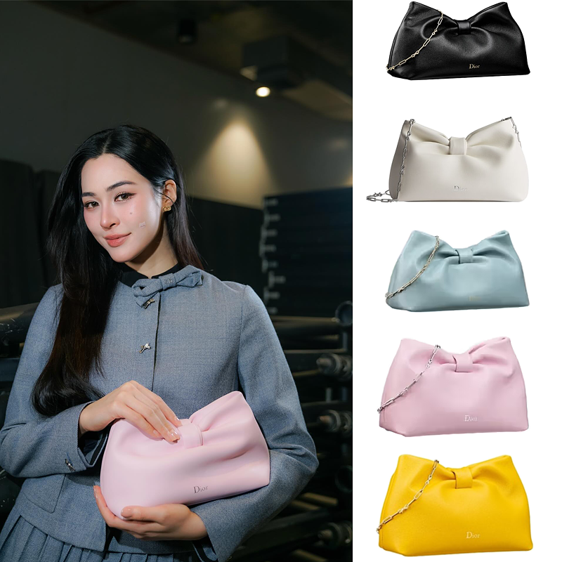 Small Dior Bow Bag