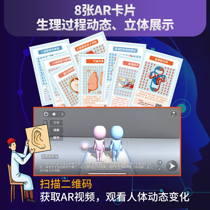 人体工程师立体书 8岁+ 给孩子的身体科普认知书 探索人体奥秘的移动工厂
