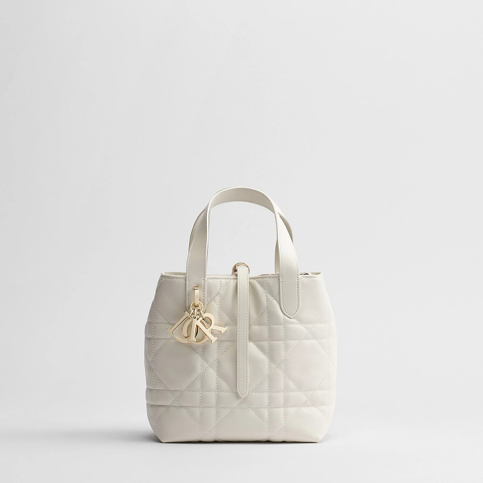 Dior Toujours Vertical Tote Bag Small