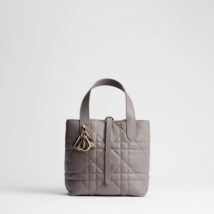 Dior Toujours Vertical Tote Bag Small