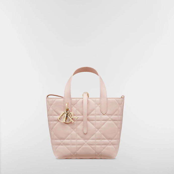 Dior Toujours Vertical Tote Bag Small