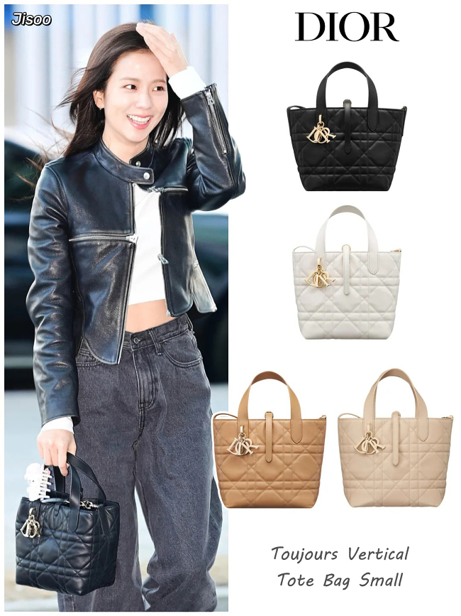 Dior Toujours Vertical Tote Bag Small
