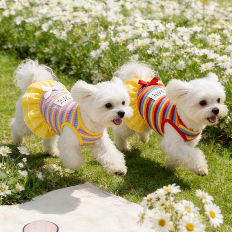 Sunscreen dog clothes, rainbow striped pet dress, outdoor camping pet dress, summer thin style for dogs.