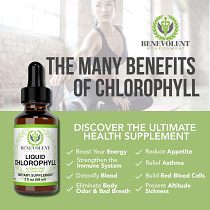 Benevolent Nourishing Chlorophyll Supplement, Detox & Immune Support, Internal Deodorant, Liquid Drops